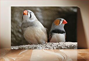 Πίνακας, Two Colorful Birds Δύο πολύχρωμα πουλιά