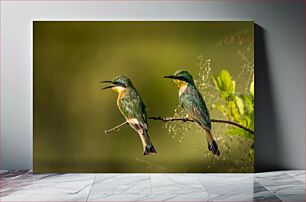 Πίνακας, Two Colorful Birds on a Branch Δύο πολύχρωμα πουλιά σε ένα κλαδί