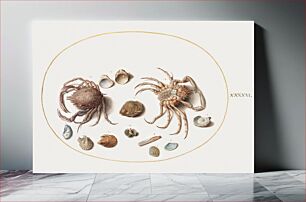 Πίνακας, Two Crabs with Seashells (1575–1580) by Joris Hoefnagel