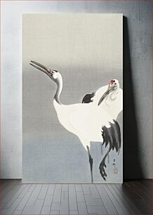 Πίνακας, Two cranes (1900-1930) by Ohara Koson (1877-1945)
