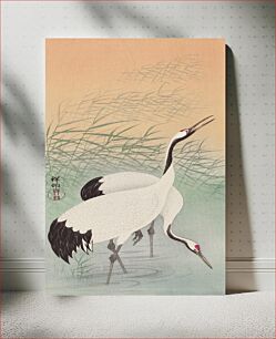 Πίνακας, Two cranes (1925 - 1936) by Ohara Koson (1877-1945)