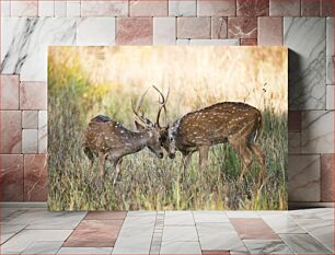 Πίνακας, Two Deer in a Field Δύο ελάφια σε ένα χωράφι