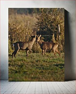 Πίνακας, Two Deer in the Wild Δύο ελάφια στην άγρια ​​φύση