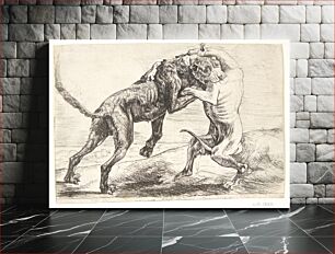 Πίνακας, Two dogs fighting by Paulus Van Hillegaert II