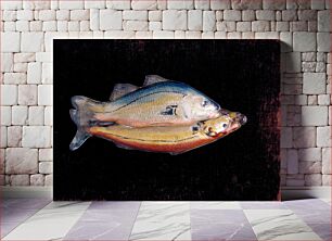 Πίνακας, two fish (one blue, yellow and orange; the other brown, yellow and black) in pressed glass with reverse painting on glass; mounted on wood panel covered in burgandy velvet