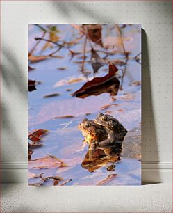 Πίνακας, Two Frogs in a Pond Δύο βάτραχοι σε μια λίμνη