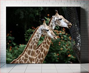 Πίνακας, Two Giraffes in the Wilderness Δύο καμηλοπαρδάλεις στην ερημιά