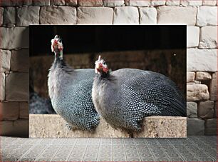 Πίνακας, Two Guinea Fowls Δύο φραγκόκοτες