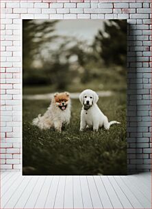 Πίνακας, Two Happy Dogs in the Park Δύο χαρούμενα σκυλιά στο πάρκο