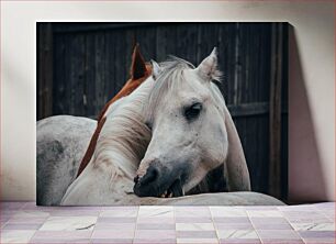 Πίνακας, Two Horses Cuddling Δύο άλογα αγκαλιά