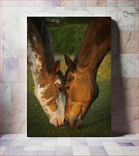 Πίνακας, Two Horses Grazing Δύο άλογα που βόσκουν