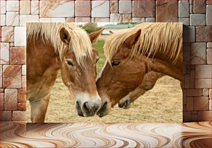 Πίνακας, Two Horses Touching Noses Δύο άλογα που αγγίζουν τις μύτες