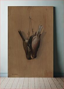 Πίνακας, Two hung chaffinches, 1852, Wilhelm von Wright