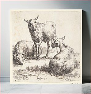 Πίνακας, Two lying and one standing sheep by Nicolaes Berchem