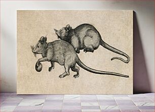 Πίνακας, Two Mice (1450-1480)