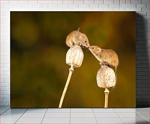 Πίνακας, Two Mice on Poppy Pods Δύο ποντίκια σε λοβούς παπαρούνας