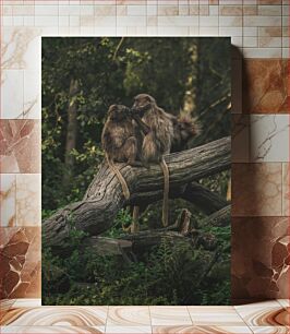 Πίνακας, Two Monkeys on a Log Δύο πίθηκοι σε ένα κούτσουρο