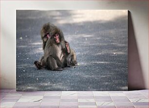 Πίνακας, Two Monkeys Sitting on the Road Δύο πίθηκοι που κάθονται στο δρόμο