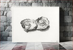Πίνακας, Two opened oysters (1824) by Jean Bernard