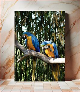 Πίνακας, Two Parrots on a Branch Δύο παπαγάλοι σε ένα κλαδί