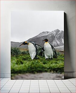 Πίνακας, Two Penguins in a Natural Habitat Δύο πιγκουίνοι σε ένα φυσικό βιότοπο