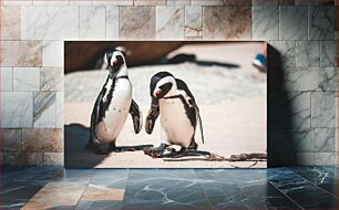 Πίνακας, Two Penguins on Beach Δύο πιγκουίνοι στην παραλία