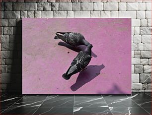 Πίνακας, Two Pigeons on Pink Surface Δύο περιστέρια σε ροζ επιφάνεια