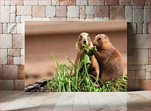 Πίνακας, Two Prairie Dogs Eating Δύο σκυλιά λιβαδιού που τρώνε