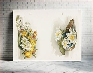 Πίνακας, Two prints of chrysanthemums