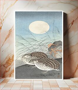 Πίνακας, Two quails at full moon (1900 - 1936) by Ohara Koson (1877-1945)