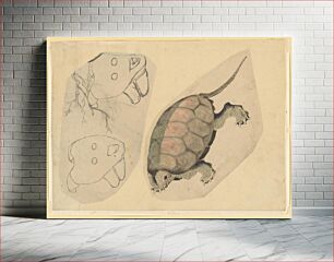 Πίνακας, Two Sketches: One of a Turtle, the Other of Two Unidentified Objects, attributed to Katsushika Hokusai