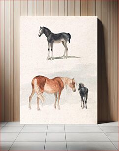 Πίνακας, Two Studies: a Foal, and a Mare and Foal (1769–1844) by Robert Hills