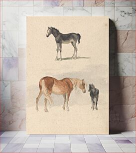 Πίνακας, Two Studies: a Foal, and a Mare and Foal
