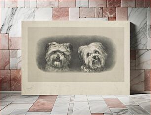 Πίνακας, [Two terriers]