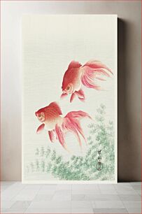 Πίνακας, Two veil goldfish (1926) by Ohara Koson (1877-1945)