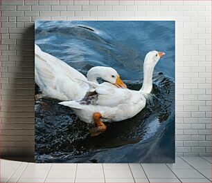 Πίνακας, Two White Ducks by the Water Δύο Λευκές Πάπιες δίπλα στο νερό