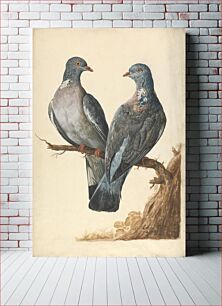 Πίνακας, Two Wood Pigeons