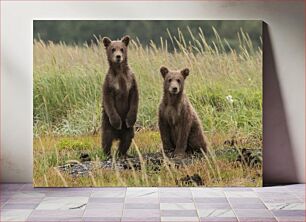 Πίνακας, Two Young Bears in the Wild Δύο νεαρές αρκούδες στην άγρια ​​φύση