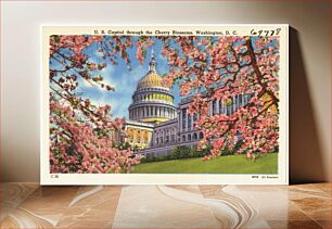Πίνακας, U. S. Capitol through the Cherry Blossoms, Washington, D. C