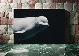 Πίνακας, Underwater Beluga Whale Υποβρύχια φάλαινα Beluga