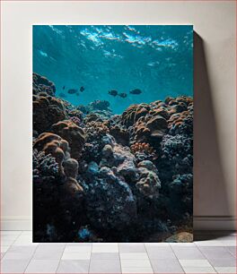 Πίνακας, Underwater Coral Reef Υποβρύχιος Κοραλλιογενής Ύφαλος