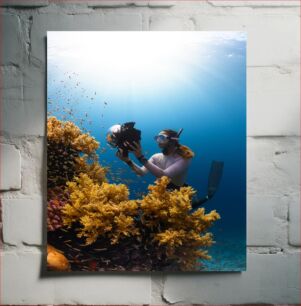 Πίνακας, Underwater Photographer Υποβρύχιος Φωτογράφος