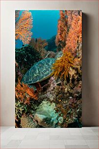 Πίνακας, Underwater Turtle and Coral Υποβρύχια χελώνα και κοράλλι