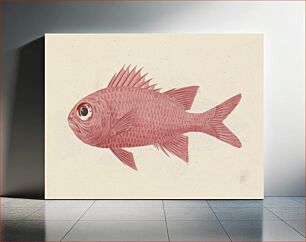 Πίνακας, Unidentified Fish by Luigi Balugani