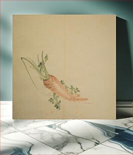 Πίνακας, Untitled Picture Album of Twenty-five Watercolor Paintings