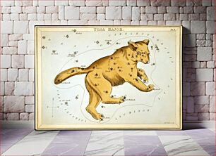 Πίνακας, Ursa Major, Astronomical chart showing a bear forming the constellation. 1 print on layered paper board : etching, hand-colored