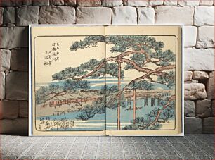 Πίνακας, Utagawa Hiroshige (1850 – 67) Picture Book of the Souvenirs of Edo