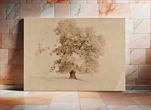 Πίνακας, Vanha lehtipuu, rakennuksen ääriviivat, 1856, Werner Holmberg