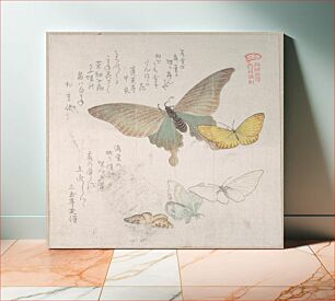 Πίνακας, Various Moths and Butterflies by Kubo Shunman
