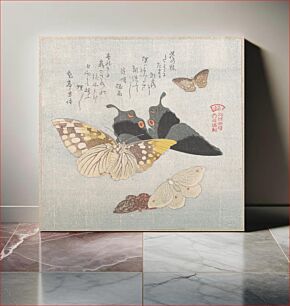 Πίνακας, Various moths and butterflies by Kubo Shunman